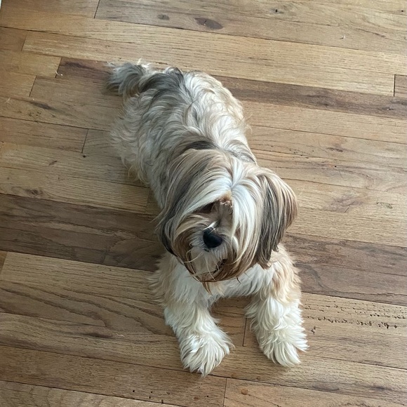 Meet your Posher, Margarita - Picture 1 of 2